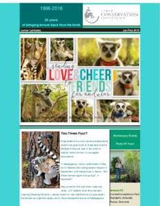 years of bringing lemurs back from the brink Lemur Latitudes  Jan/Feb 2016