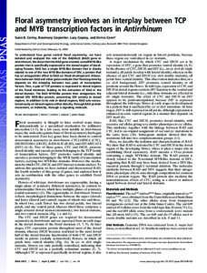 Floral asymmetry involves an interplay between TCP and MYB transcription factors in Antirrhinum Susie B. Corley, Rosemary Carpenter, Lucy Copsey, and Enrico Coen* Department of Cell and Developmental Biology, John Innes 