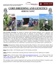 QUANTITATIVE GENETICS AND MAIZE BREEDING DEPARTMENT OF SOIL AND CROP SCIENCES CORN BREEDING AND GENETICS HIRING NOW!