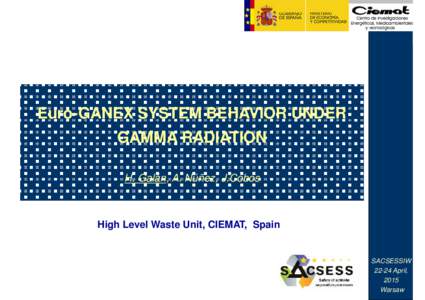 Euro-GANEX SYSTEM BEHAVIOR UNDER GAMMA RADIATION H. Galán, A. Núñez, J.Cobos High Level Waste Unit, CIEMAT, Spain