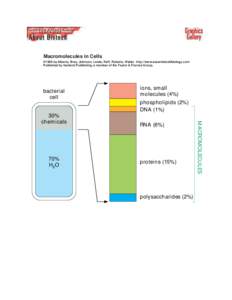 Macromolecules in Cells ©1998 by Alberts, Bray, Johnson, Lewis, Raff, Roberts, Walter . http://www.essentialcellbiology.com Published by Garland Publishing, a member of the Taylor & Francis Group.  bacterial