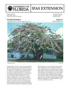 Stephen H. Brown Horticulture Agent, Tropical Flowering Tree Specialty