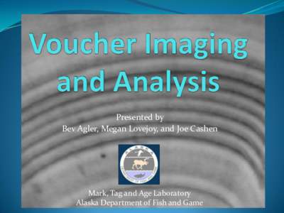 School voucher / Fish anatomy / Otolith / Education / Payment systems / Voucher
