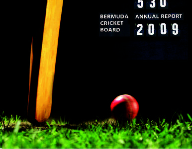 Sport in Bermuda / High Performance Programme / International Cricket Council / Irving Romaine / Sports / Cricket / Bermuda Cricket Board