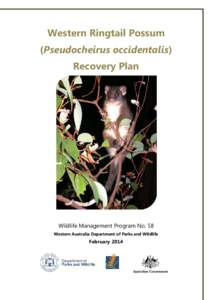 Pseudocheirus / Pseudocheiridae / Common Brushtail Possum in New Zealand / Jarrah Forest / Environment Protection and Biodiversity Conservation Act / Fauna of Australia / Conservation status / Common ringtail possum / Rock-haunting Ringtail Possum / Possums / Mammals of Australia / Western ringtail possum