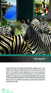 Pocket Guide to South Africa[removed]: Tourism