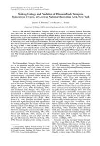 Journal of Herpetology, Vol. 37, No. 3, pp. 517–526, 2003 Copyright 2003 Society for the Study of Amphibians and Reptiles Nesting Ecology and Predation of Diamondback Terrapins, Malaclemys terrapin, at Gateway National