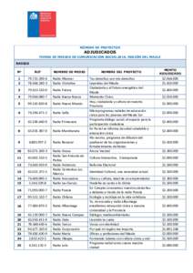 NÓMINA DE PROYECTOS  ADJUDICADOS FONDO DE MEDIOS DE COMUNICACIÓN SOCIAL2016, REGIÓN DEL MAULE RADIOS Nº