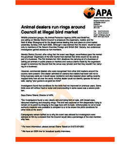 Animal dealers run rings around Council at illegal bird market Brighton Media Centre 68 Middle Street Brighton