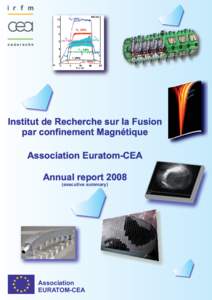 Institut de Recherche sur la Fusion par confinement Magnétique Association Euratom-CEA Annual reportexecutive summary)