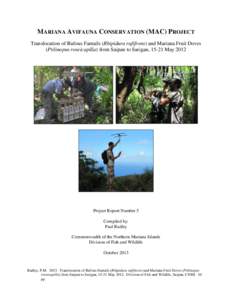 MARIANA AVIFAUNA CONSERVATION (MAC) PROJECT Translocation of Rufous Fantails (Rhipidura rufifrons) and Mariana Fruit Doves (Ptilinopus roseicapilla) from Saipan to Sarigan, 15-21 May 2012 Project Report Number 5 Compiled