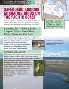 SAFEGUARD 5,000,000 MIGRATING BIRDS ON THE PACIFIC COAST Enormous efforts are required to conserve Boundary Bay and the Fraser River Delta, where over 300 species of migrating, breeding and wintering birds are threatened