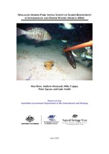 NINGALOO MARINE PARK- INITIAL SURVEY OF SEABED BIODIVERSITY IN INTERMEDIATE AND DEEPER WATERS (MARCH[removed]Max Rees, Andrew Heyward, Mike Cappo, Peter Speare and Luke Smith