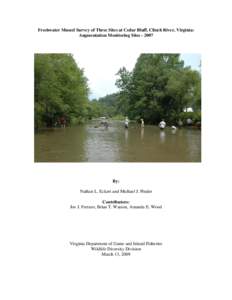 Freshwater Mussel Survey of Three Sites at Cedar Bluff, Clinch River, Virginia: Augmentation Monitoring Sites[removed]