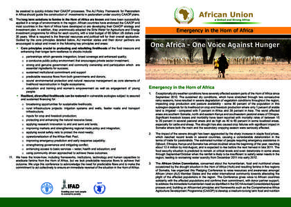 be assisted to quickly initiate their CAADP processes. The AU Policy Framework for Pastoralism in Africa should guide the construction of investments in pastoralism under country CAADP plans. 10.	 The long term solutions