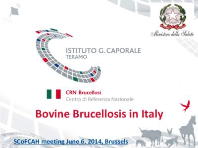 Bovine Brucellosis in Italy SCoFCAH meeting June 6, 2014, Brussels BOVINE Brucellosis – Officially-free provinces 2013