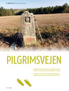 pilgrimsvejen Af David Grønbæk | Foto: David Grønbæk  pilgrimsvejen Pilgrimsvejen til Santiago de Compostela i Nordspanien er den største vandreattraktion i Europa. I efteråret 2011 fik David Grønbæk endelig selv