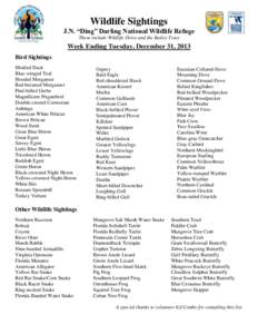 Wildlife Sightings J.N. “Ding” Darling National Wildlife Refuge These include Wildlife Drive and the Bailey Tract Week Ending Tuesday, December 31, 2013 Bird Sightings