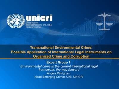 Transnational Environmental Crime: Possible Application of International Legal Instruments on Organized Crime and Corruption Expert Group 1 Environmental crime in the current international legal framework: the way forwar
