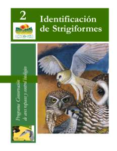 Identificacion Strigiformes.pmd