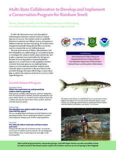 Multi-State Collaborative to Develop and Implement a Conservation Program for Rainbow Smelt
