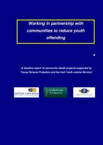 Working in partnership with communities to reduce youth offending (A baseline report of community based projects supported by Young Persons Probation and the Irish Youth Justice Service)