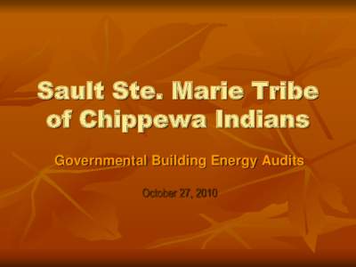 Sault Ste. Marie Tribe of Chippewa Indians Governmental Building Energy Audits