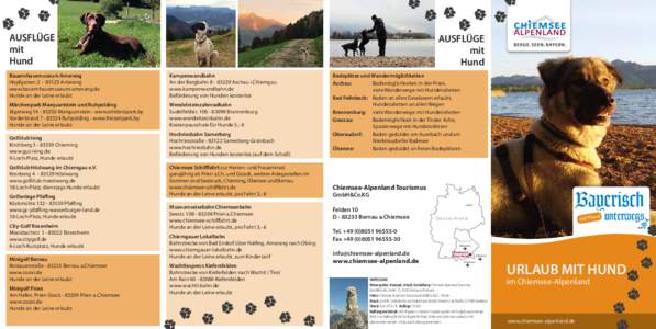 Urlaub mit Hund_Rückseite web