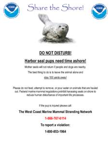 Share the Shore!  DO NOT DISTURB! Harbor seal pups need time ashore! Mother seals will not return if people and dogs are nearby. The best thing to do is to leave the animal alone and