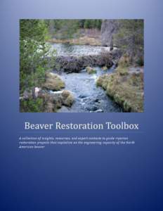 Beaver Restoration Toolbox