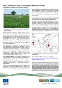 6440 Alluvial meadows of river valleys of the Cnidion dubii summary