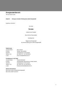 Sursee_ReAudit_2013_Antrag_300813