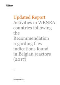 Updated Report Activities in WENRA countries following the Recommendation regarding flaw