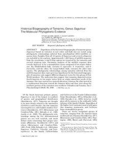 AMERICAN JOURNAL OF PHYSICAL ANTHROPOLOGY 108:65–[removed]Historical Biogeography of Tamarins, Genus Saguinus: