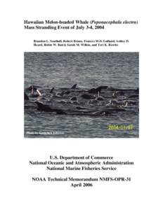 Hawaiian Melon-headed Whale (Peponacephala electra) Mass Stranding Event of July 3-4, 2004