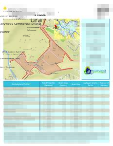 MARKET PROFILE  Fairywood Commercial District Fairywood 2015 Business Summary (2 Minute Drive Time)