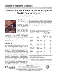publication[removed]Identification and Control of Annual Ryegrass in No-Till Corn in Virginia Steve King, Post-Doctoral Research Associate Edward S. Hagood, Jr., Extension Weed Scientist