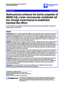 Hydrocortisone enhances the barrier properties of HBMEC/ciŁ, a brain microvascular endothelial cell line, through mesenchymal-to-endothelial transition-like effects