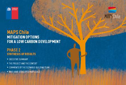 MAPS Chile  Mitigation Options for a Low Carbon DevelopmenT  Phase 2