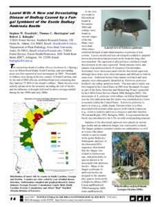 Laurel Wilt: A New and Devastating Disease of Redbay Caused by a Fungal Symbiont of the Exotic Redbay Ambrosia Beetle Stephen W. Fraedrich1, Thomas C. Harrington2 and Robert J. Rabaglia3 1