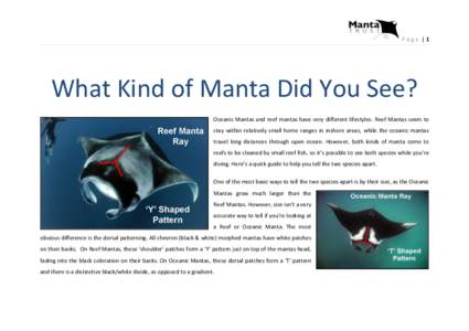 Page |1  What Kind of Manta Did You See? Oceanic Mantas and reef mantas have very different lifestyles. Reef Mantas seem to stay within relatively small home ranges in inshore areas, while the oceanic mantas travel long 