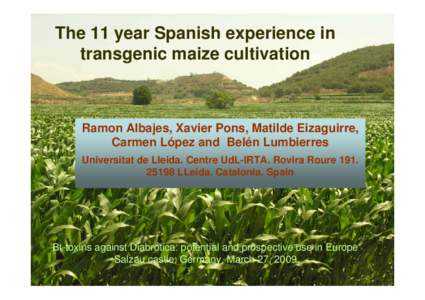 The 11 year Spanish experience in transgenic maize cultivation Ramon Albajes, Xavier Pons, Matilde Eizaguirre, Carmen López and Belén Lumbierres Universitat de Lleida. Centre UdL-IRTA. Rovira Roure 191.