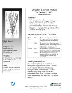 Effect of Sediment Mixture on Growth of SAV (Between Tank Experiment) Summary Will changing the sediment mixture in the