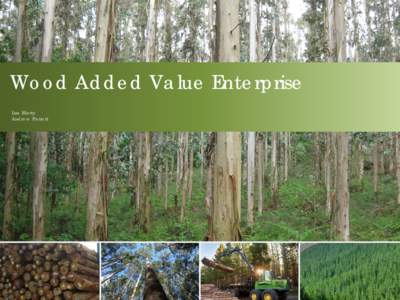 Wood Added Value Enterprise