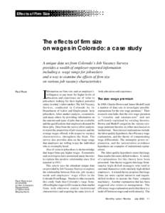 The effects of firm size on wages in Colorado: a case study