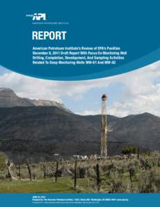 REPORT American Petroleum Institute’s Review of EPA’s Pavillion December 8, 2011 Draft Report With Focus On Monitoring Well Drilling, Completion, Development, And Sampling Activities Related To Deep Monitoring Wells 