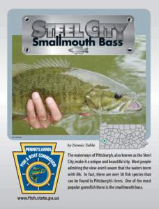 Lake Powell / Lake Havasu / Lake Hartwell / Bass fishing / Fish / Micropterus / Smallmouth bass