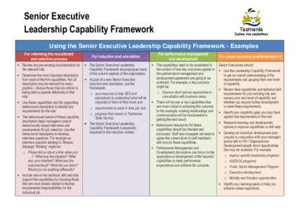 Senior Executive Leadership Capability Framework Using the Senior Executive Leadership Capability Framework - Examples For informing the recruitment and selection process • Review any pre-existing documentation for