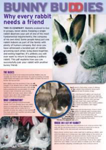 Bunny Buddied web page_Layout 1
