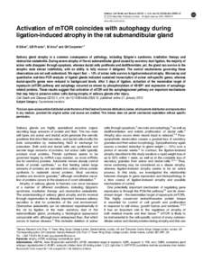 Microsoft PowerPoint - FIG. 1 Gland weights_ABPAS Histology Time Series.ppt